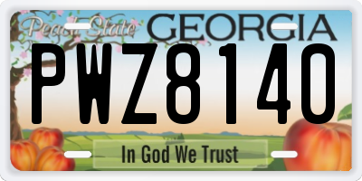GA license plate PWZ8140