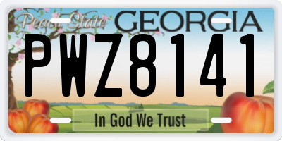 GA license plate PWZ8141