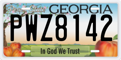 GA license plate PWZ8142