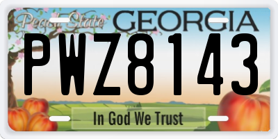 GA license plate PWZ8143