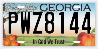 GA license plate PWZ8144