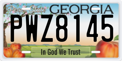GA license plate PWZ8145