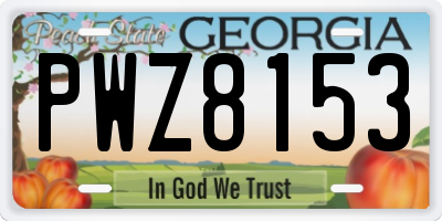GA license plate PWZ8153