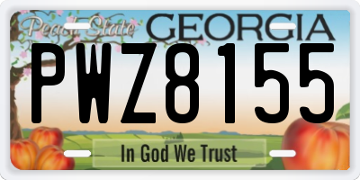 GA license plate PWZ8155