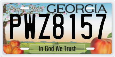 GA license plate PWZ8157
