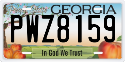 GA license plate PWZ8159