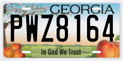 GA license plate PWZ8164