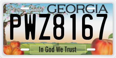 GA license plate PWZ8167