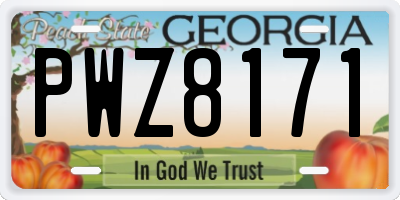 GA license plate PWZ8171