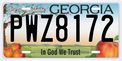 GA license plate PWZ8172