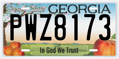GA license plate PWZ8173