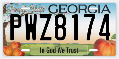 GA license plate PWZ8174