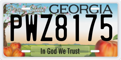 GA license plate PWZ8175