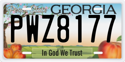 GA license plate PWZ8177
