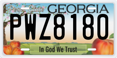 GA license plate PWZ8180