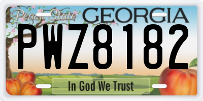 GA license plate PWZ8182