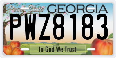 GA license plate PWZ8183