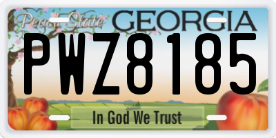 GA license plate PWZ8185