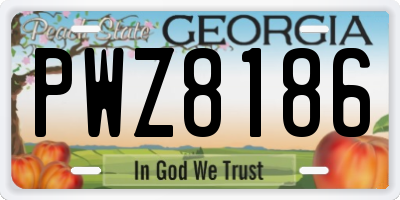 GA license plate PWZ8186