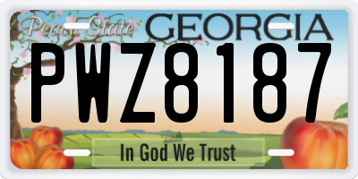 GA license plate PWZ8187