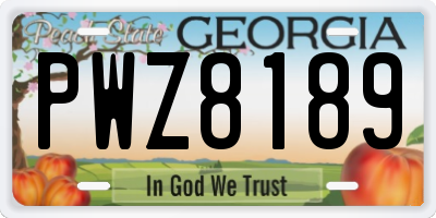 GA license plate PWZ8189