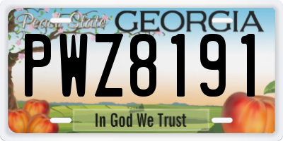 GA license plate PWZ8191