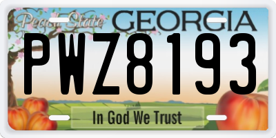 GA license plate PWZ8193