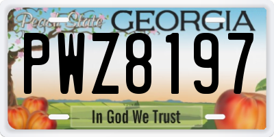 GA license plate PWZ8197