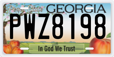 GA license plate PWZ8198
