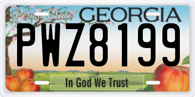 GA license plate PWZ8199