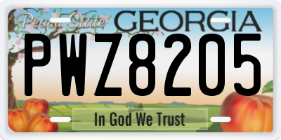 GA license plate PWZ8205