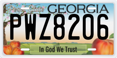 GA license plate PWZ8206
