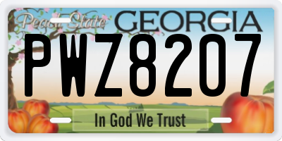 GA license plate PWZ8207