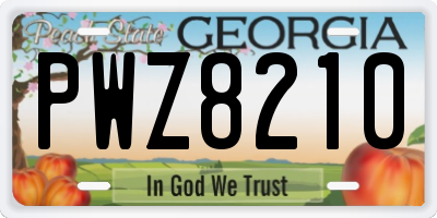 GA license plate PWZ8210