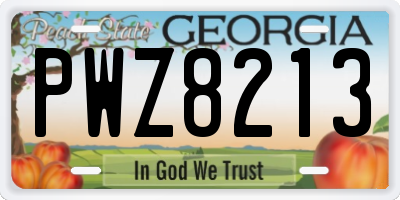 GA license plate PWZ8213