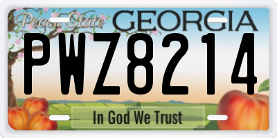 GA license plate PWZ8214