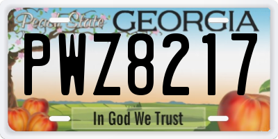 GA license plate PWZ8217