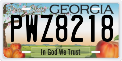 GA license plate PWZ8218
