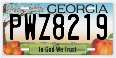 GA license plate PWZ8219