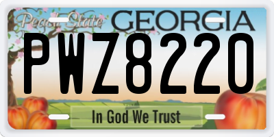 GA license plate PWZ8220