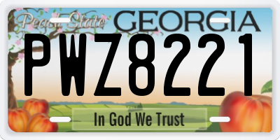 GA license plate PWZ8221