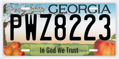 GA license plate PWZ8223
