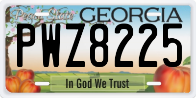 GA license plate PWZ8225