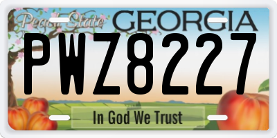 GA license plate PWZ8227