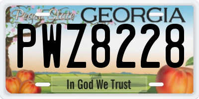 GA license plate PWZ8228