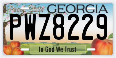 GA license plate PWZ8229