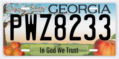 GA license plate PWZ8233