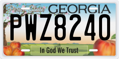 GA license plate PWZ8240