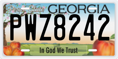 GA license plate PWZ8242