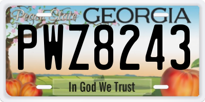 GA license plate PWZ8243